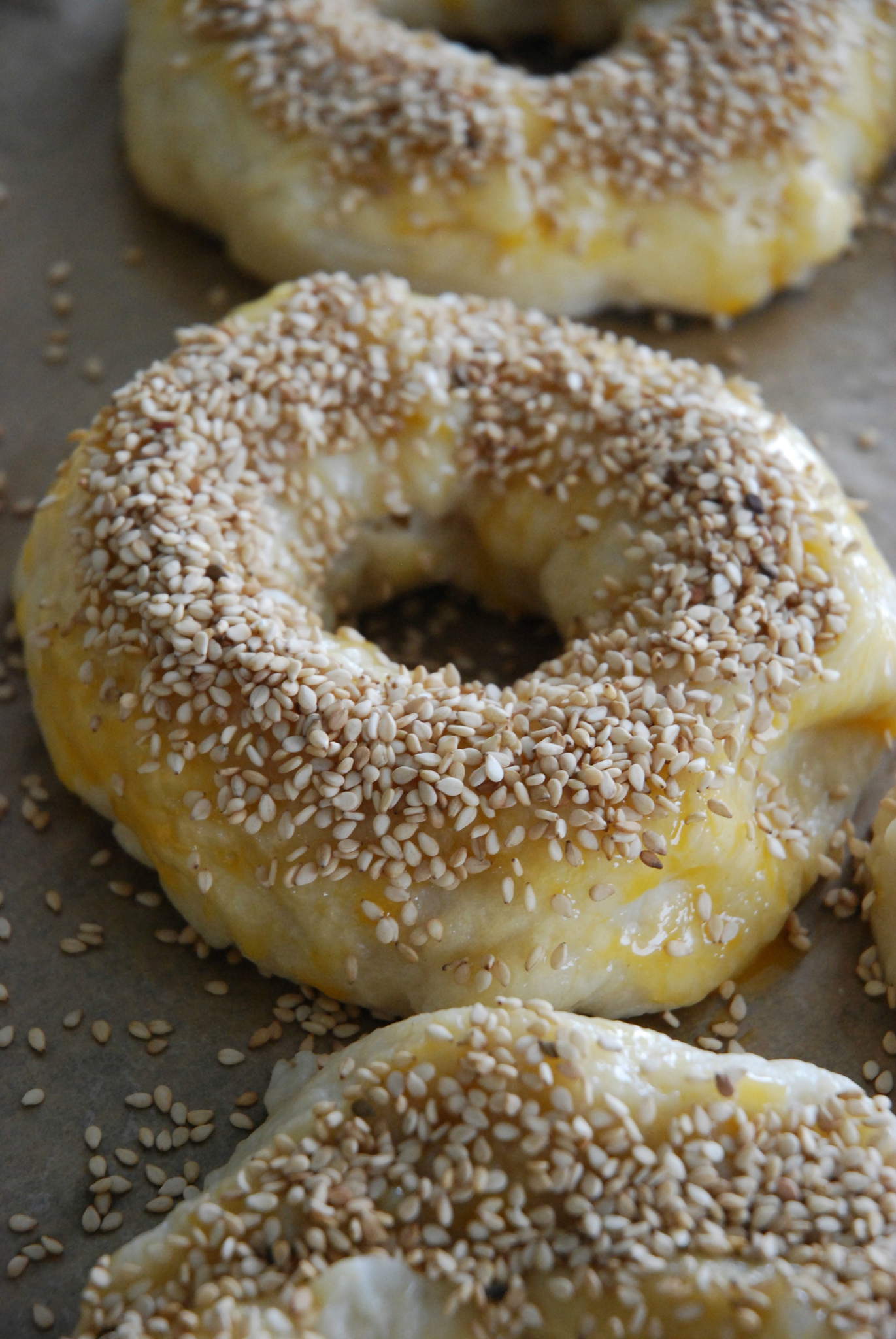 bagels graines de sesame - the mona project