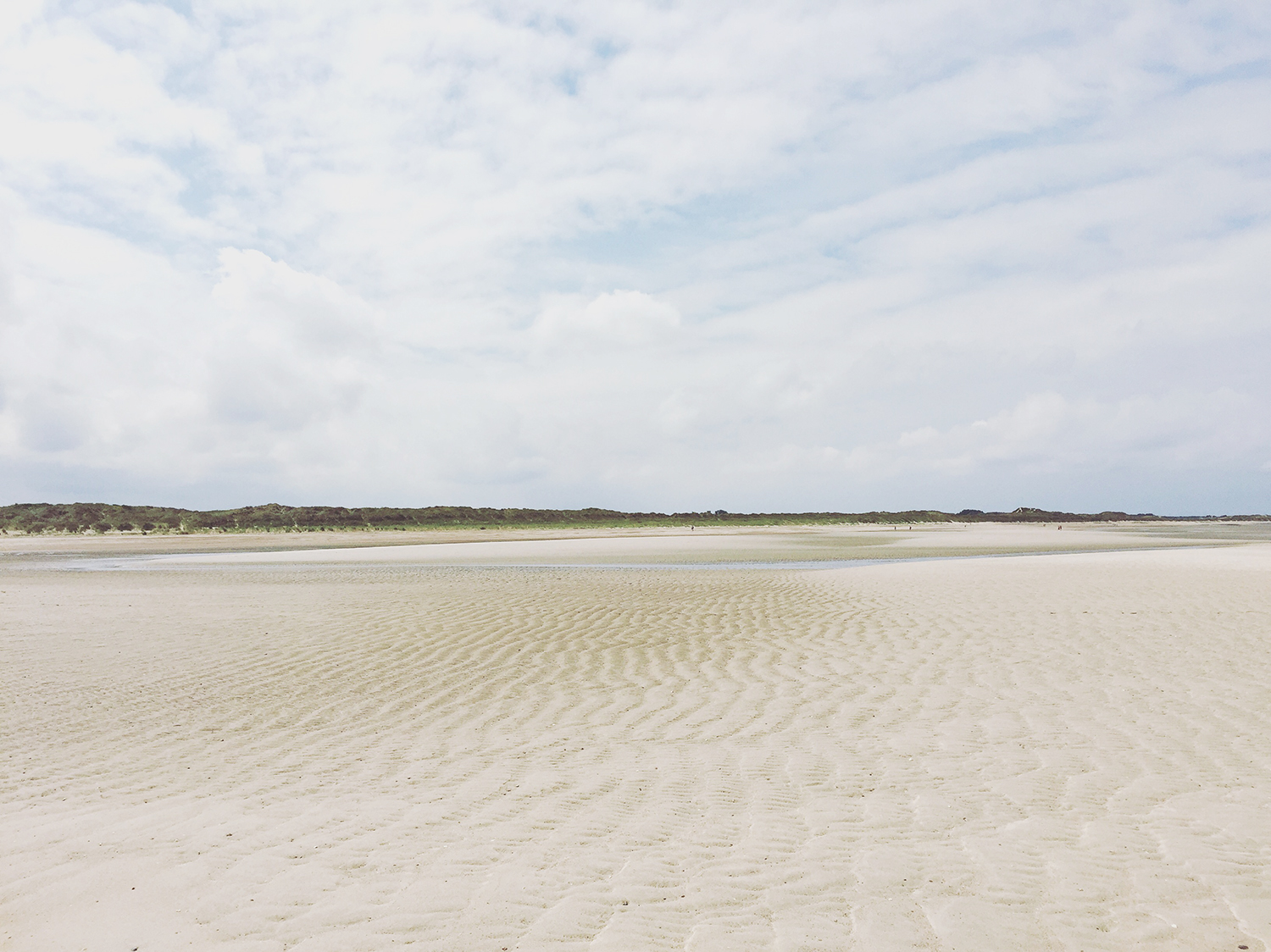 het-zwin-cadzand-the-mona-project