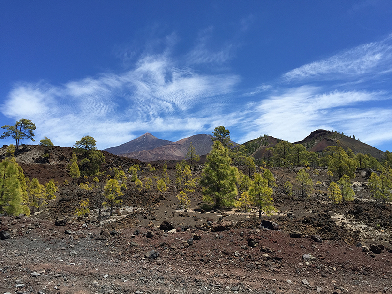 Abama Ritz Carlton Avis Hotel Teide Volcan - The Mona Project