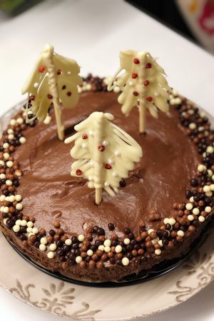 Gâteau de mousse au chocolat, fond aux Oreo© – sans cuisson