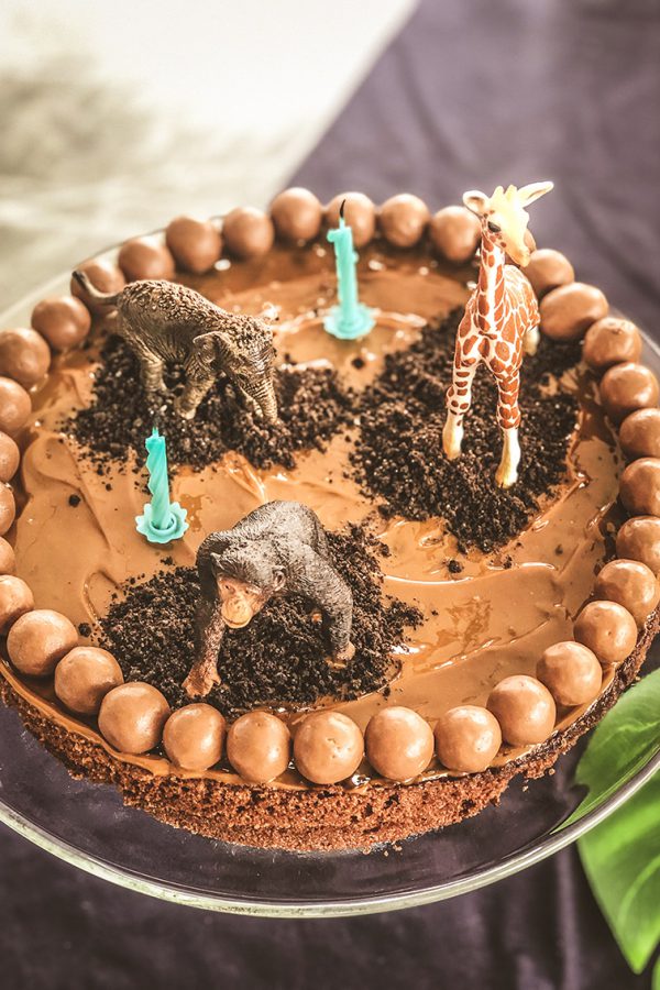 Gâteau d’anniversaire « Jungle » – super facile