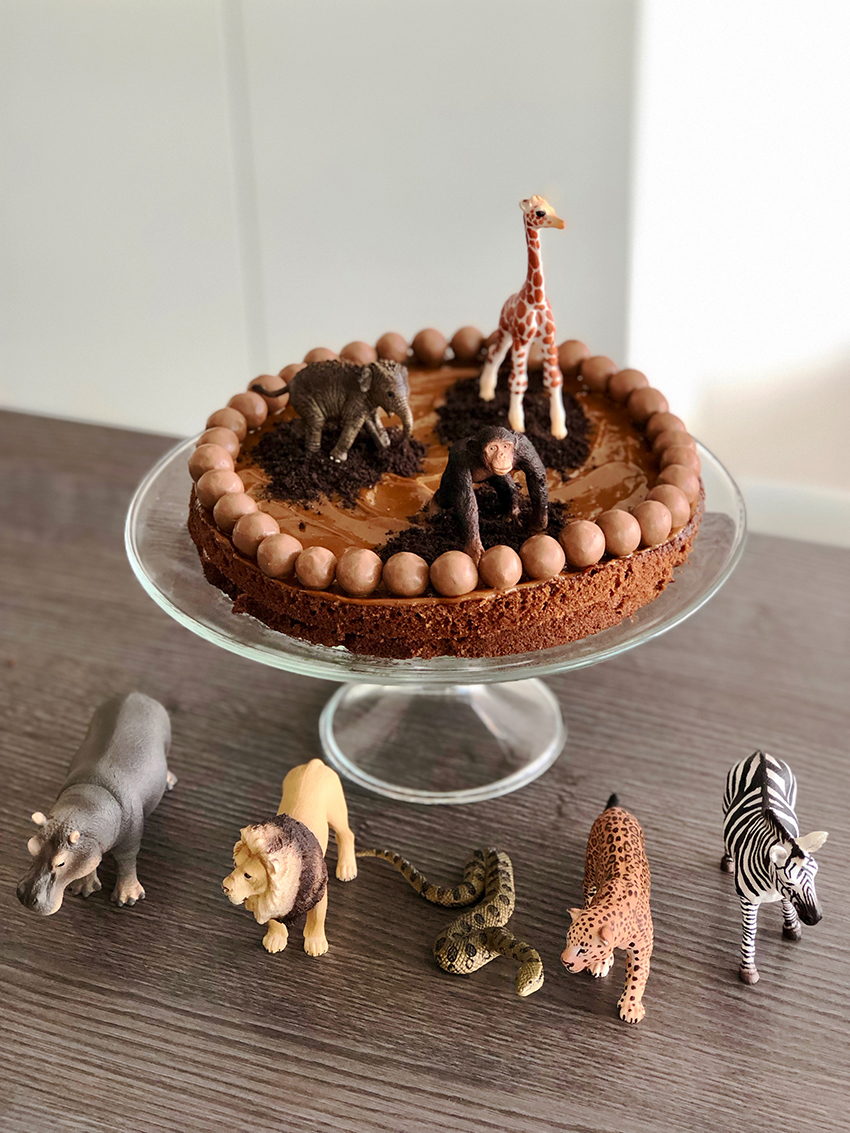 Gateau anniversaire chocolat jungle facile - The Mona Project