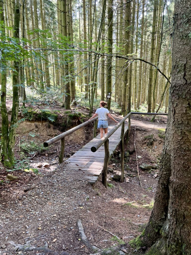 balade en forêt temps pour soi