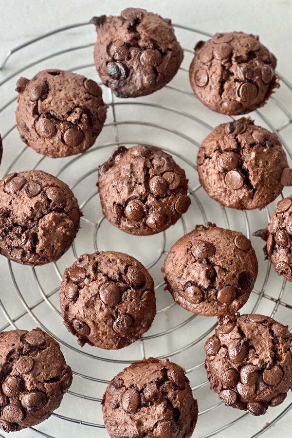 Muffins au chocolat et pépites de chocolat