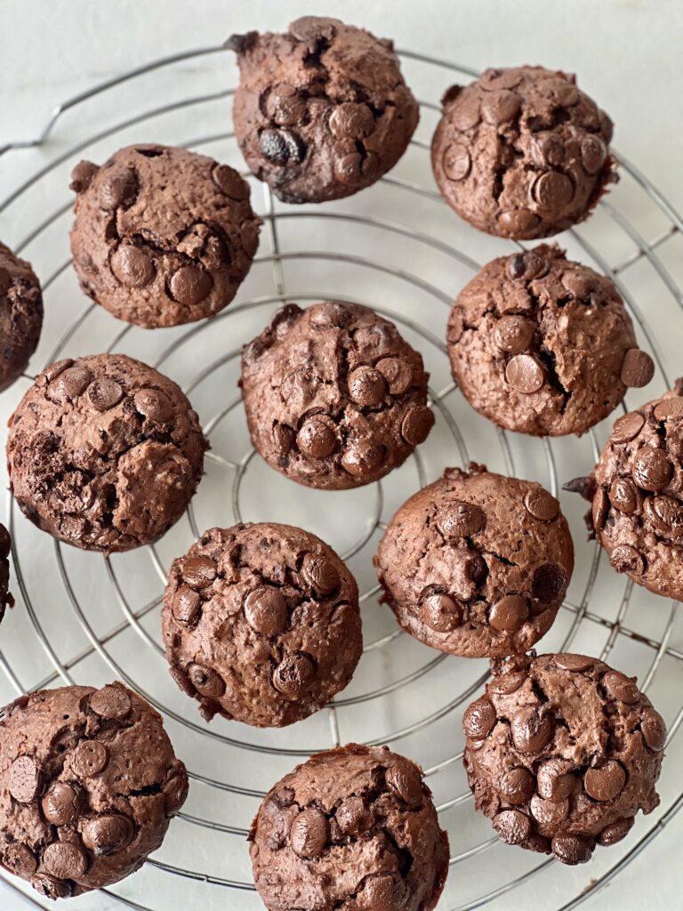 muffins au chocolat et pépites de chocolat