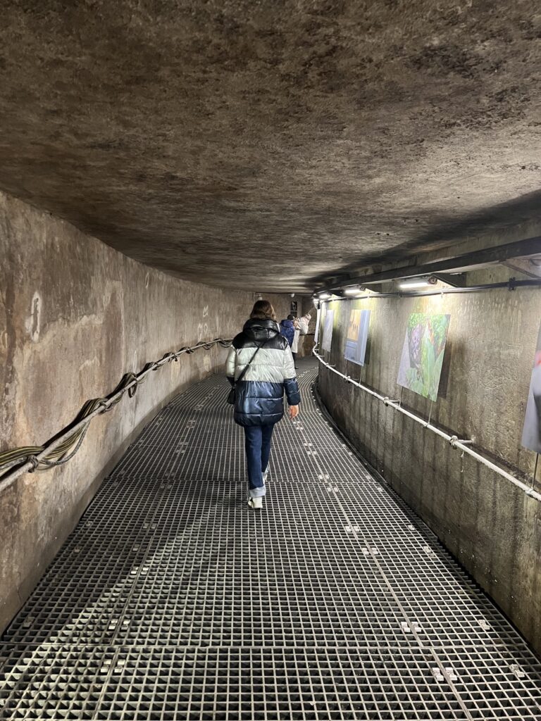 une journée parfaite en famille à Bruxelles musée des égouts 