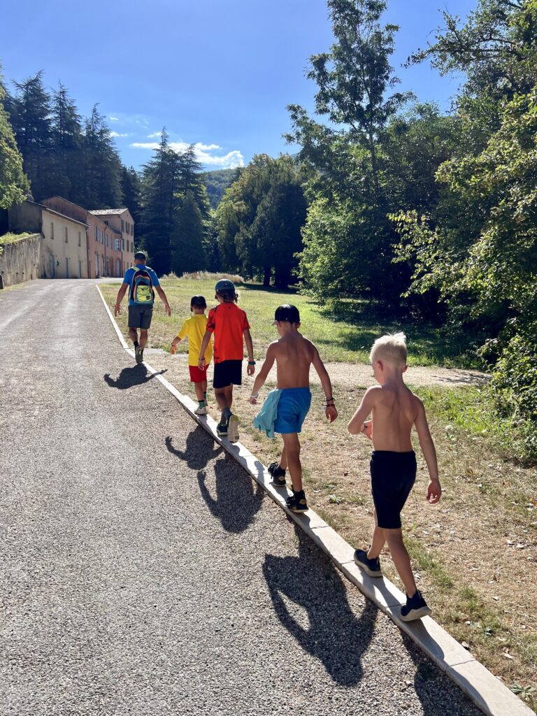 Forêt de Saoût une semaine en drôme provençale en famille