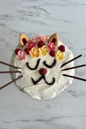 Gâteau en forme de chat pour enfants: recette super facile