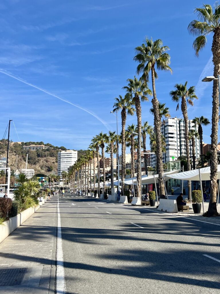 Guide de Malaga: le port