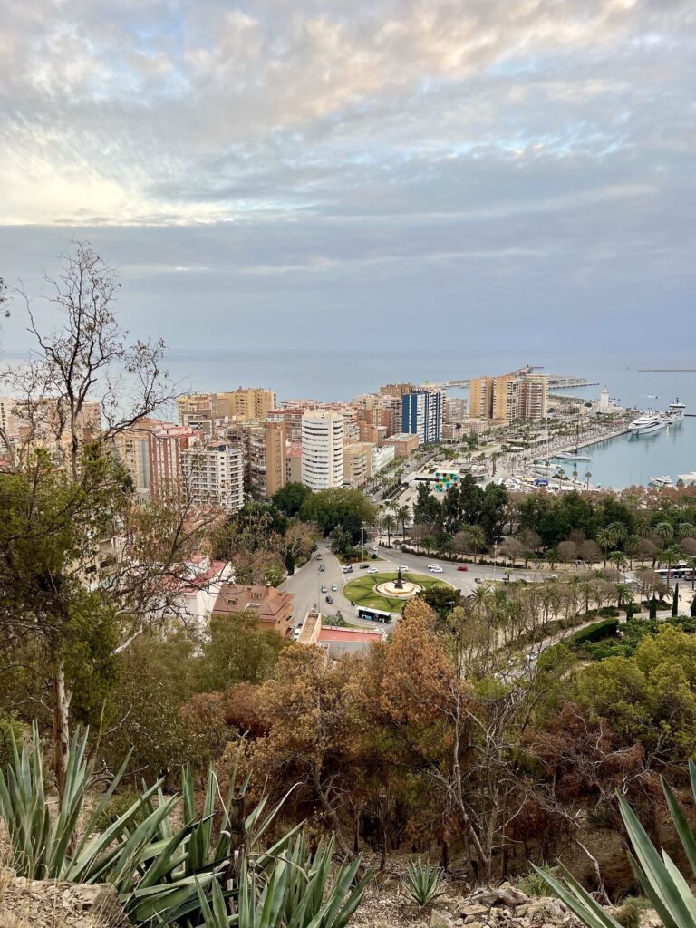 Guide de Malaga :vue sur la ville et le port